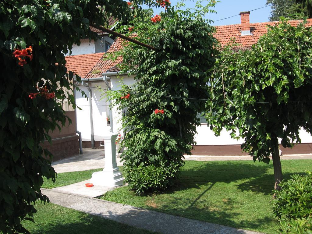 Green Apartment Novi Sad Eksteriør billede